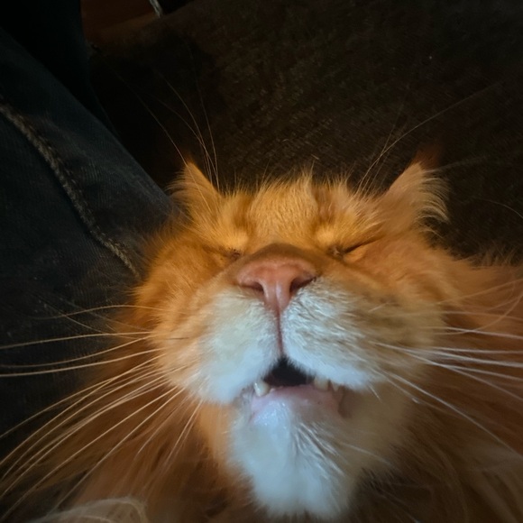 (^_−)−☆ - Picture 3 of 10